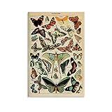 JTYK Poster, Motiv: Schmetterlinge, Vintage-Stil, dekoratives Gemälde, Leinwand, Wandkunst, Wohnzimmer, Poster, Schlafzimmer, Gemälde, 30 x 45