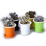 MINGMIN-DZ Dauerhaft 5-Pack Orchidee Blumentopf Sukkulenten Töpfe Doppelschicht Garten Topf Pflanzer Container, Ausgezeichnete Drainage Innendurchmesser. 8