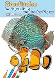 Zierfische im Aquarium und in der Natur. Malbuch.: Aquarienfische für Kinder und Erwachsene. Malbuch mit 30 Motiven: Diskusfische, Buntbarsche, Koi, ... Clownfisch und vieles mehr. DIN A4 F