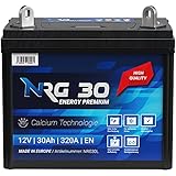 NRG Starterbatterie 30Ah Rasentraktor Aufsitzmäher Rasenmäher B