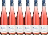 Hoflößnitz Pfeiffers Schoppen Rosé 2020 Feinherb Ecovin Bio (6 x 0.75 l)