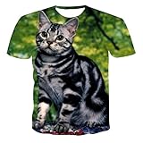 chuyue T-Shirt Sommer Top 3D-gedruckte Katze Serie Kurzarm T-Shirt Fabrik Direktvertrieb-XL