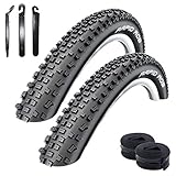 Angebot-Set / 2 x Schwalbe Rapid Rob Fahrradreifen Fahrradmantel 54-622 (29 x 2.10) + 2 Schwalbe Schläuche AV19 inkl. 3 Reifenheb