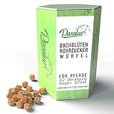 Pasalus Pferde Bachblüten Rohrzuckerwürfel bei Angst, Stress und Schreckhaftigkeit - Für Turnier und Training oder Reisen einsetzb