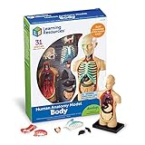 Learning Resources LER3336 Anatomie-Modell menschlichen Körp