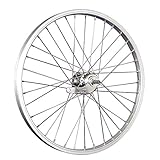 Taylor-Wheels 20 Zoll Hinterrad Büchel Alufelge/Velosteel Alu Rücktrittnabe - Silb