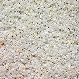 RyFo Colors Buntsteinputz Glitzereffekt 201 weiß 25kg - weitere Farbtöne und Größen wählbar, Fertigputz für innen und außen, Sockelputz, Mosaikp