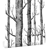 LYN-MEMORY Selbstklebende Tapete Schwarz-weiß-Wald PVC Wandaufkleber Geeignet Für Schlafzimmer Wohnzimmer Sofa Tv Hintergrund Wandpap