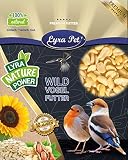 Lyra Pet® 10 kg Erdnusskerne Splits HK Südamerika Haut Erdnussbruch Erdnüsse Vogelfutter Wildvogelfutter Ganzjahresfutter Kö