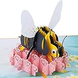 eZAKKA Bee 3D Pop Up Grußkarten für Wertschätzung, Genesung, Trauer, Geschenkkarten zum Geburtstag