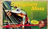 Lucky Reptile SM-100 Sphagnum Moss Ziegel 100 g, T