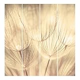 Bilderwelten Schiebegardinen Pusteblume Nahaufnahme Sepia Tönung Deckenhalterung 4X 250x60