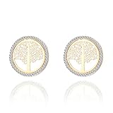 Ouran Damen Freundin Frau - Gold and Silver Plated Earring Edelstahl Rund Farb