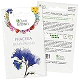 Phacelia Samen: Premium Bienenfreund Samen für ca. 500 blühende Phacelia Pflanzen – Schöne Phacelia Blumen Samen Balkon u. Garten Samen – Blumensamen, Blumenwiese Samen – Phacelia Saatgut von OwnGrow