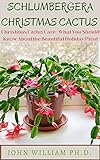 SCHLUMBERGERA CHRISTMAS CACTUS : Christmas Cасtuѕ Care: What You Shоuld Knоw Abоut the Beautiful Holiday Plаnt (English Edition)