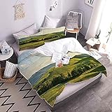 SNDTXE Bettwäsche Set 200x200cm Mikrofaser Damen Herren 3D-Druck Grüne Wiesenhügel Modern Schlafzimmer Dekorative Günstig Bettbezug Mit Reißverschluss Und 2 Kissenbezug 80x80cm Bettw