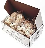 Feingebäck aus sizilianischer Mandel in Geschenk-Box (400 gr). RAREZZE: tyisch sizilianische Köstlichkeiten, Cannoli, Mandelpaste, Cassate, nach sizilianischer Konditorenk