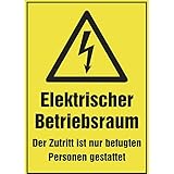 Elektro-Warnschild 'Hochspannung - Lebensgefahr' | 300x200 mm | gelb/schwarz | 1 Stück