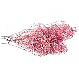 Ever Blossom Baby's Breath Gypsophilie, echte getrocknete Blumen, langlebig, 2 Jahre, wartungsfrei, hypoallergen, weich, kolumbianische Blumen, sorgfältig verpackt, Hot Pink