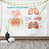 ABAKUHAUS Anatomie Wandteppich, Lungs Strukturbiologie, Wohnzimmer Schlafzimmer Heim Seidiges Satin Wandteppich, 200 x 150 cm, Blasse Pfirsich-Baby B