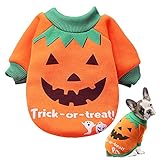 SUNYOK Hundekostüm Halloween Hundekostüm Kürbis Hundemantel für Kleine Hunde Herbst Winter Hundbekleidung Haustier Kostüm Katze Hund Hundepullover für Halloween Hundekleidung
