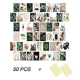 Nayoroom 50er-Set Grün Premium Wall Collage Kit - Ästhetisches Wandcollagen Indie Room Décor - Fotowand Für Wohnheim-wanddekoration - Mädchen Teenager Studenten - 10.2x15.2cm Wandkunstdrucke Für VSCO