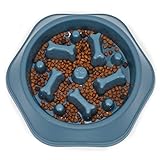 LEACOOLKEY Langsamer Futter Hundenapf,Puzzle Hundefutternapf Anti-Schlucken Interaktiver Hundenapf und Wasser-Hundenapf für kleine/mittelgroße Hunde, Blau, 360