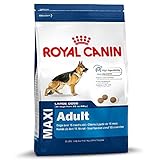 ROYAL CANIN Maxi-Adult Trockenfutter für große Hunde (26–45 kg) – Paket mit 2 x 15 kg