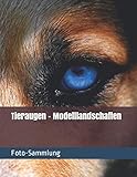 Tieraugen - Modelllandschaften - Foto-Sammlung