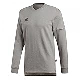 adidas Originals Herren Tan SWT JSY T-Shirt, grau, S
