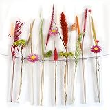 12 reagenzgläser für Blumen zum aufhängen, Reagenzglas Vase mit Rand zum aufhängen, Fensterdeko hängend, Vase Glas, Hochzeitsdeko Blumen (15 cm)