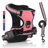 Belababy Ausgezeichnetes Hundegeschirr und Leine, Set, atmungsaktiv, verstellbar, bequem, Kätzchen, einfach zu bedienen, Schnalle, für Welpen, kleine, zum Spazierengehen, Rosa S
