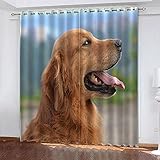 TTBBBB Blickdicht Vorhang Für Wohnzimmer Tier Hund braun B 300 x H 270 cm Junge ​mit Mädchen Schlafzimmer Wohnzimmer Kinderzimmer - 3D Digitaldruck mit Ösen Thermo Vorhang