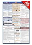 2018 Nevada Arbeitsrechts Poster – State, federal, OSHA konform – laminiert Pflicht All in O