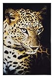 andiamo Teppich Modern Designteppich Tiger Fahrrad Leopard Motiv Fotodruck, Farbe:Leopard, Größe:100 x 150