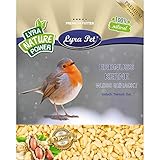 Lyra Pet® 25 kg Erdnusskerne weiß gehackt HK Afrika Vogelfutter Körner Erdnussbruch Erdnüsse Wildvogelfutter Ganzj