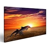 islandburner Bild Bilder auf Leinwand Marine Leben Hintergrund - Springen Delfine, schöne rote Sonnenuntergang am Meer Wandbild, Poster, Leinwandbild EPO