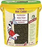 sera (32588) Koi Color Nature Medium 21 Ltr. (7 kg) ein natürliches Farbfutter mit 10% Spirulina für farbenprächtige Koi zwischen 12 und 25 cm, Koifutter ohne Farb- & Konservierung