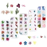5 Box Nagel Getrocknete Blume, 132 Stücke Getrocknete Blume Nail Art, Getrocknete Blumen Nagelkunst Aufkleber, 3D Nail Art Sticker für Nägel Dek