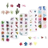 5 Box Nagel Getrocknete Blume, 132 Stücke Getrocknete Blume Nail Art, Getrocknete Blumen Nagelkunst Aufkleber, 3D Nail Art Sticker für Nägel Dek