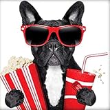 MXJSUA DIY 5D Diamantmalerei Full Round Drill Kit Strass Bild Home Wanddekoration 30x30cm Schwarze Bulldogge mit Popcorn und C