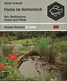 Fische im Gartenteich : Bau, Bepflanzung, Besatz und Pfleg