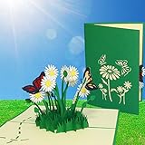 LINPOPUP 17554, Pop Up Karte Blumen Geburtstag 3D Grußkarten Klappkarte viel Glück Gute Besserung, Schmetterlinge, Margeriten, N310 (A6, Grün - Margeriten)