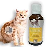 Magen Darm Kräuter Katzen I Tropfen + Fenchel Kümmel I Verdauungshilfe Magen Darm Katze I Verdauungsstörungen Blähungen Durchfall Katze I Darmsanierung I Balance Darmflora I Appetitanreger Katzen 30
