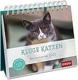 Kluge Katzen 2022: Aufstell-Kalender mit Wochenk