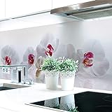 Küchenrückwand Orchidee Premium Hart-PVC 0,4 mm selbstklebend - Direkt auf die Fliesen, Größe:160 x 51