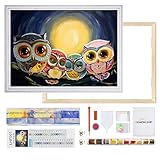 Diamondiary 5D Diamond Painting Set mit Rahmen Full Drill Diamant Painting für Home Wall Decor Geschenk 40x30