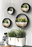 Ecosides 4 Stück Wandvase Metall Glas Rund,Wand Blumentöpfe Wand Terrarium Vertikal Container Wandvasen,Sukkulenten Kräuter Pflanzgefäß Decor für Garten,Balkon,Treppe,Wohnzimmer,Bar,Büro,Schw