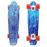 LXY Verdicktes Skateboard, Mini-Größe, geeignet für Kinder und Erwachsene, Vierrad-Cruiser-Brett, Premium-PP-Material, Kunststoff (57 x 15 cm), kleines Fisch-Skateboard, Pink (Farbe: Blau)