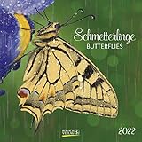 Schmetterlinge 2022: Broschürenkalender mit Ferienterminen und Fotos faszinierender Schmetterlinge. Format: 30 x 30